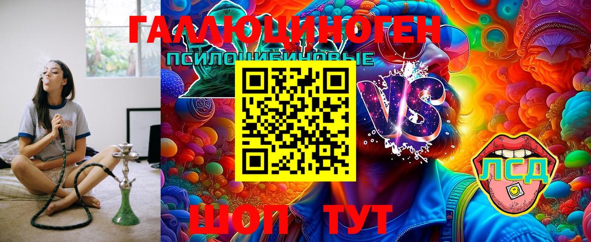 дарнет шоп  Галлюциногенные грибы GOLDEN TEACHER  Вход с VPN  Касимов 